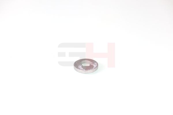 caster shim, sillatala, GH GH-391582