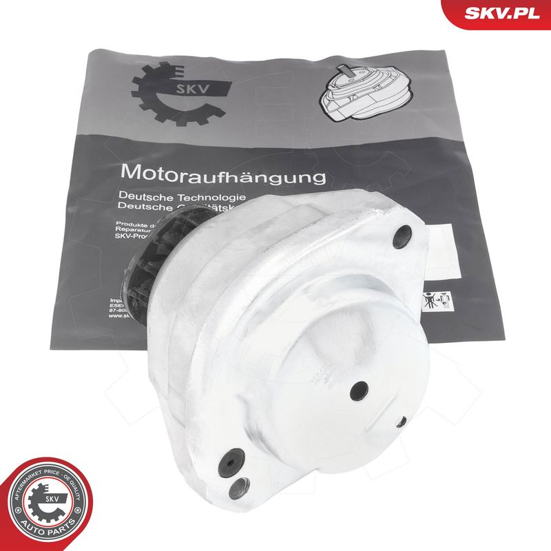 Paigutus, Mootor, ESEN SKV 75SKV287