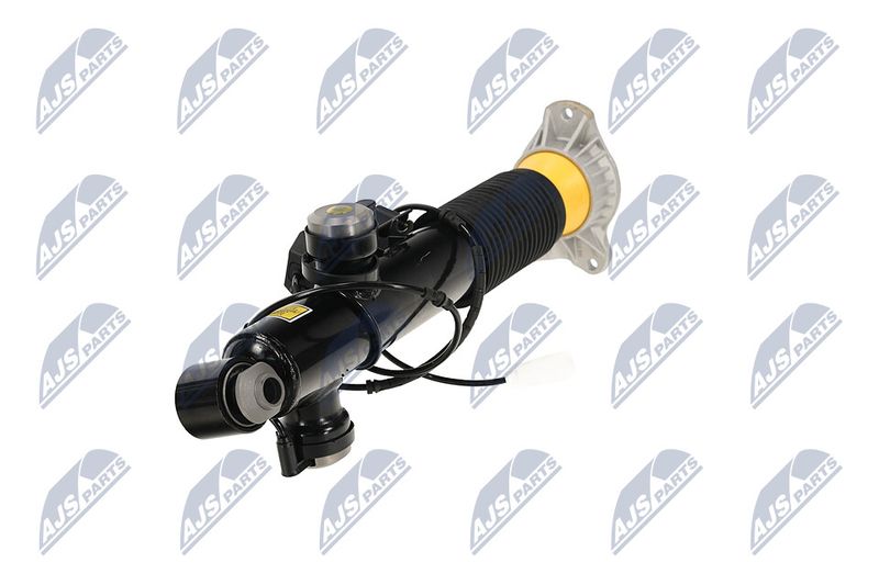 Amort, NTY A-BM-085