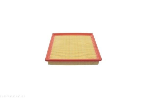 AUTOMEGA 250050610 Air Filter