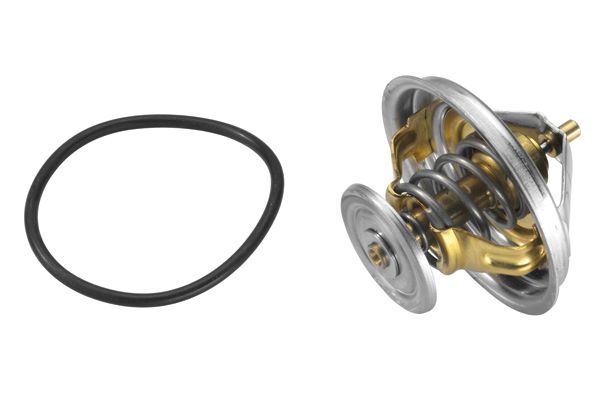 BorgWarner (Wahler) 4235.75D Thermostat, coolant
