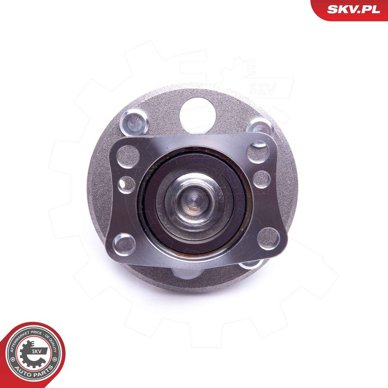 Rattalaagrikomplekt, ESEN SKV 29SKV316