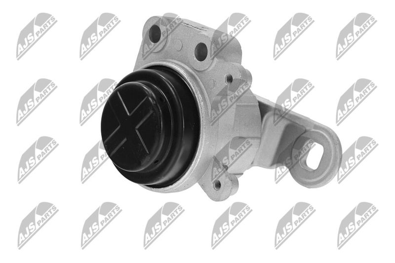 Paigutus, Mootor, NTY ZPS-FR-044