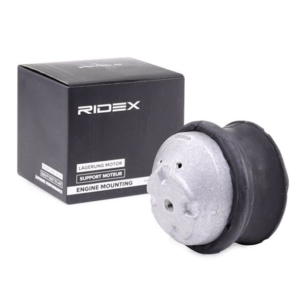 окачване, двигател RIDEX
