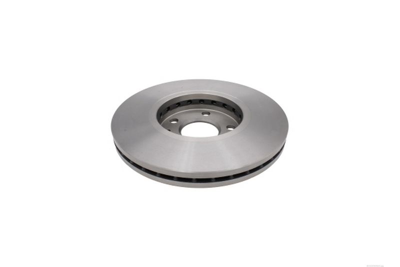 AUTOMEGA 213174310 Brake Disc