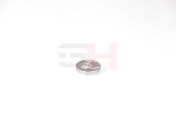 caster shim, sillatala, GH GH-391582