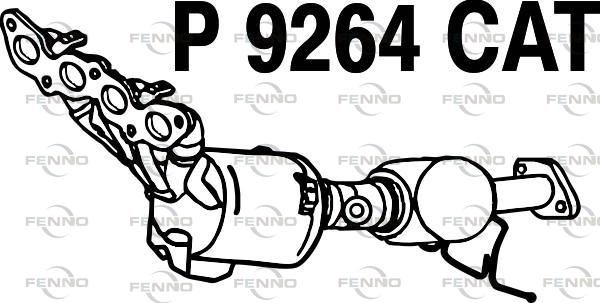 P9264CAT.JPG