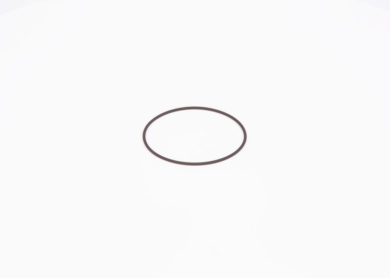 Inel de etansare F 01M 100 371 BOSCH