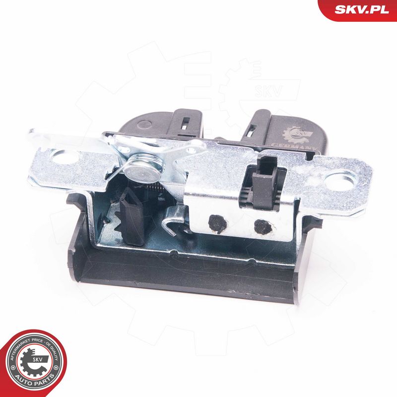 Tagaluugi sulgur, ESEN SKV...