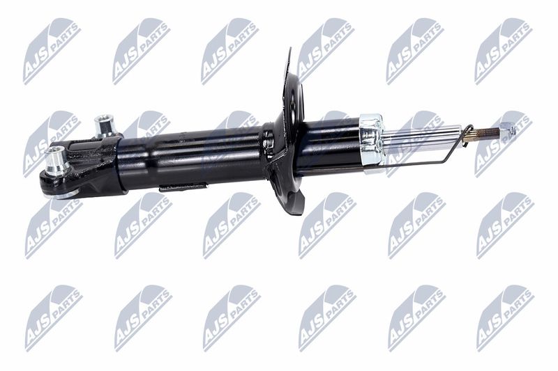 Amort, NTY A-NS-015