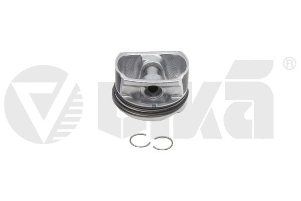 Kolvid, vika 11181701