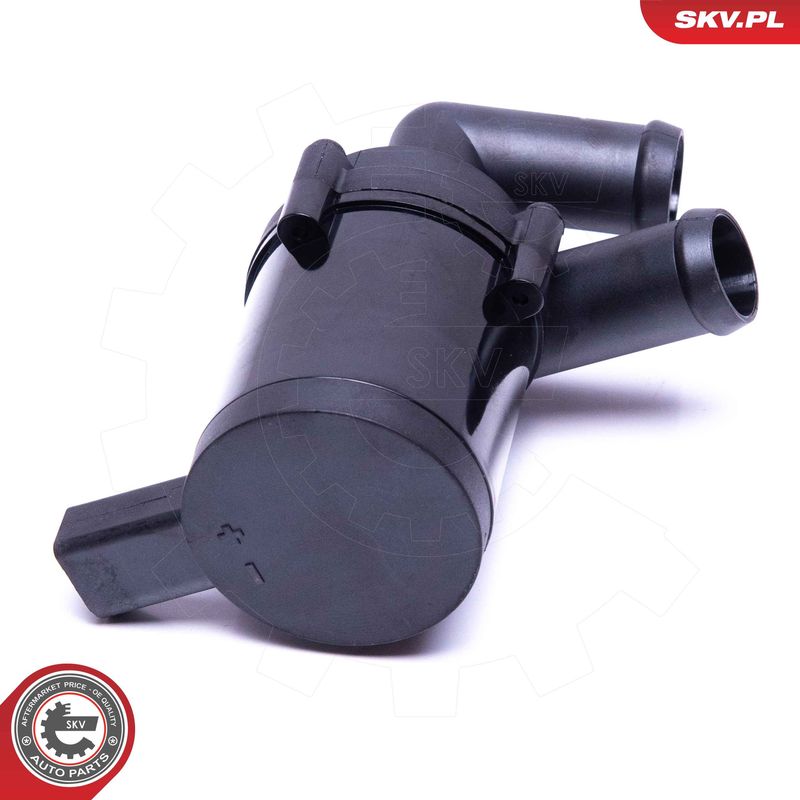 ESEN SKV 22SKV032 Auxiliary Water Pump (cooling water circuit)