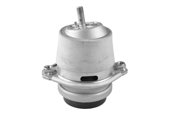 TEDGUM TED25233 Mounting, engine