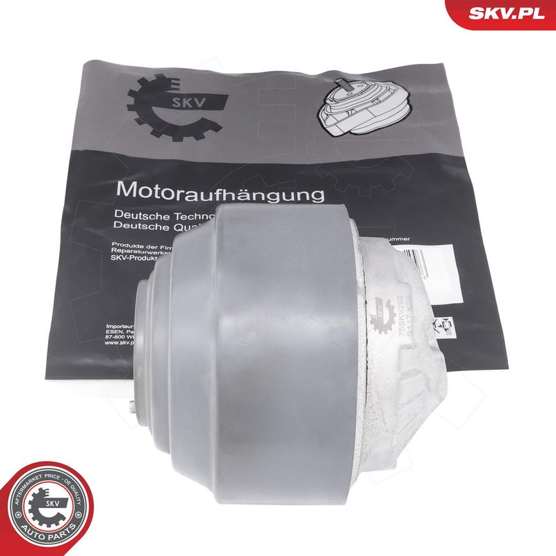 Paigutus, Mootor, ESEN SKV...