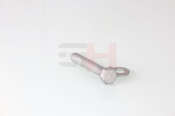 Kruvi, teljetapid, GH GH-391602