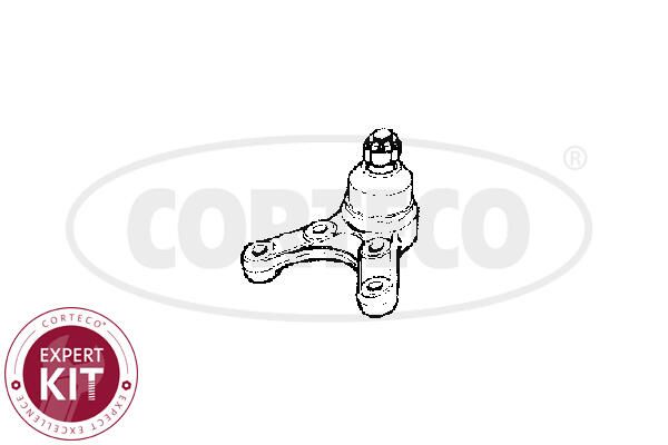 Kande-, juhtliigend,...