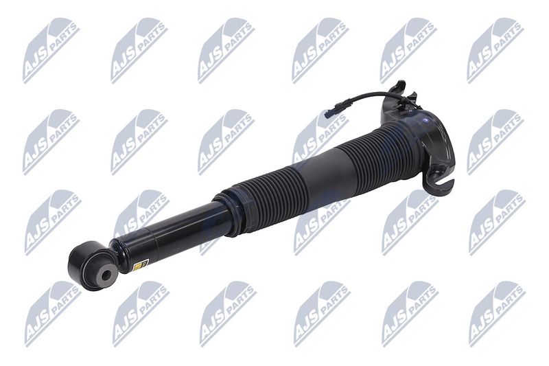 Amort, NTY A-LR-022