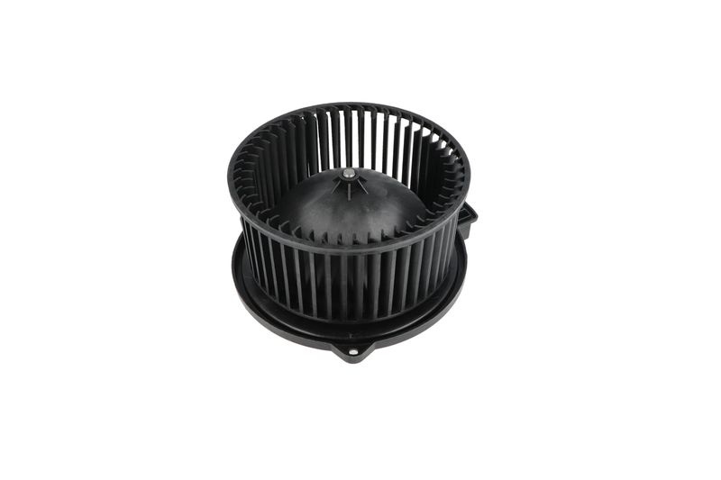 Salongipuhur, NRF 34331