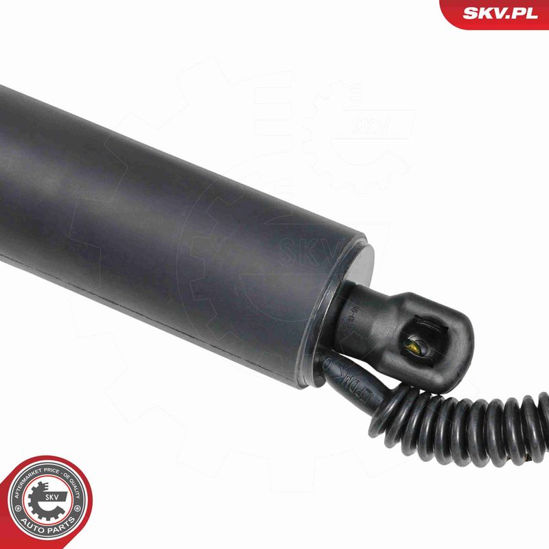 ESEN SKV 52SKV883 Electric Motor, tailgate