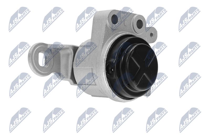 Paigutus, Mootor, NTY ZPS-FR-044