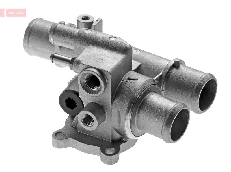 DTM88663_116525.JPG