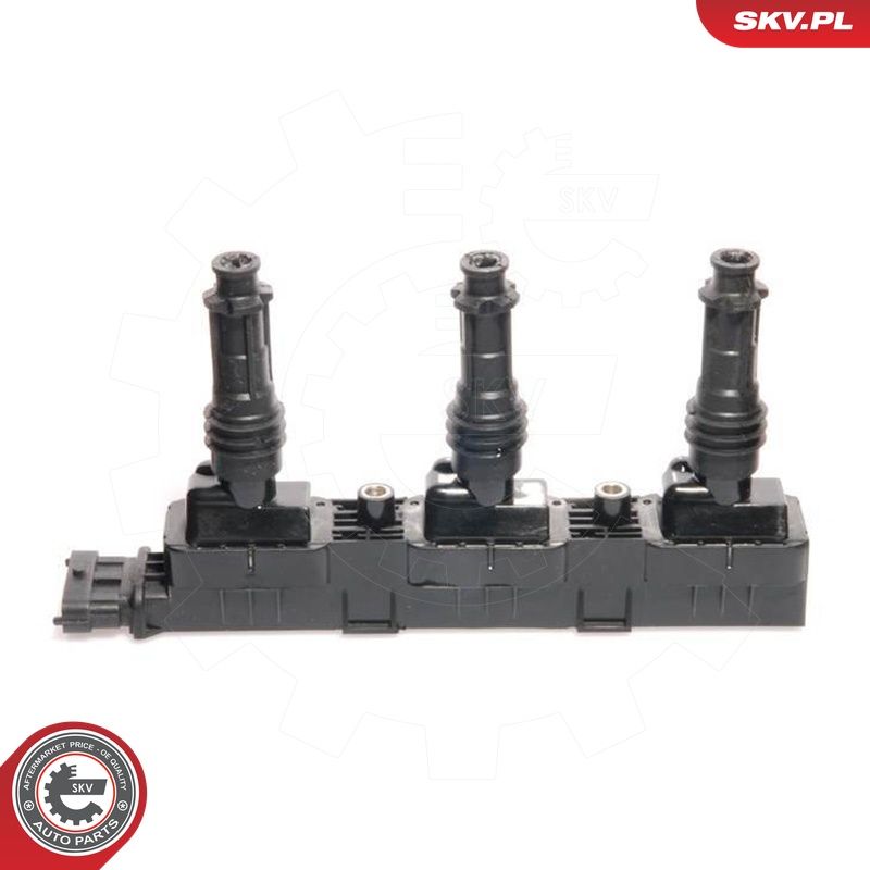 Süütepool, ESEN SKV 03SKV022