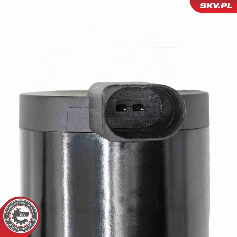 ESEN SKV 22SKV085 Auxiliary Water Pump (cooling water circuit)