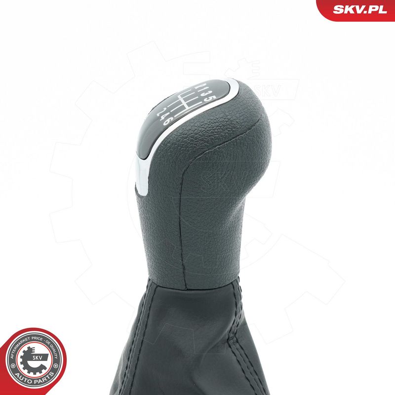 Käigukanginupp, ESEN SKV 63SKV481