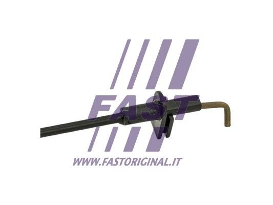 FT95751_3_1.JPG
