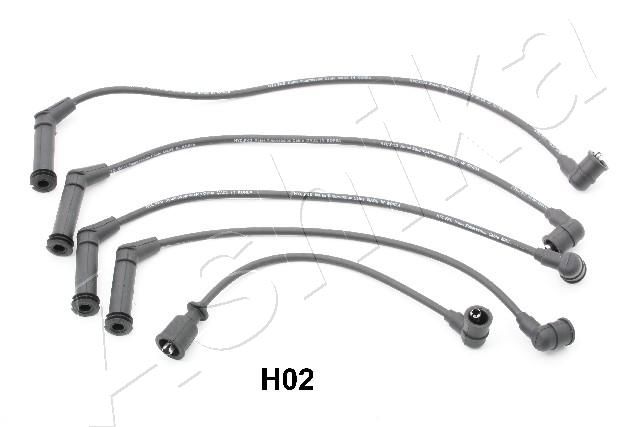 H02_1.JPG