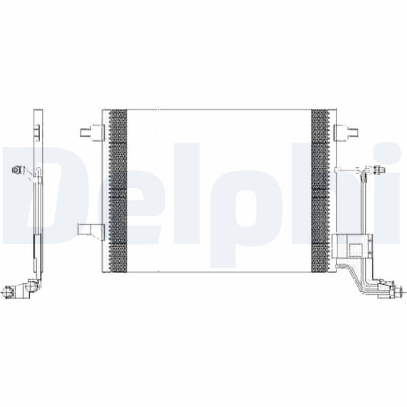 TSP0225455.JPG