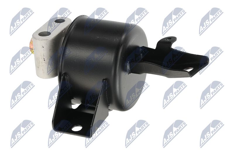 Paigutus, Mootor, NTY ZPS-DW-010