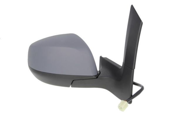 BLIC 5402-04-2001972P Exterior Mirror