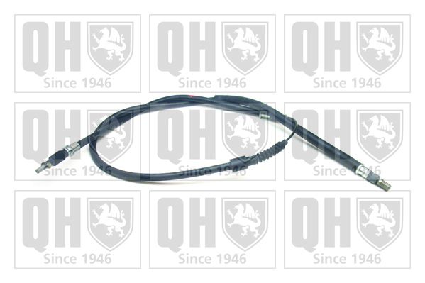 QH_BC3349.JPG