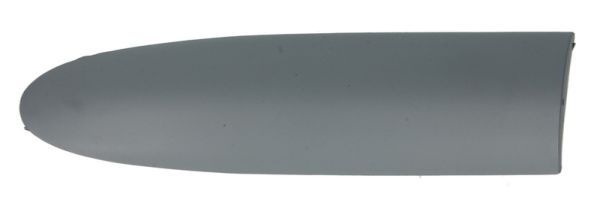 Zier- / Schutzleisten