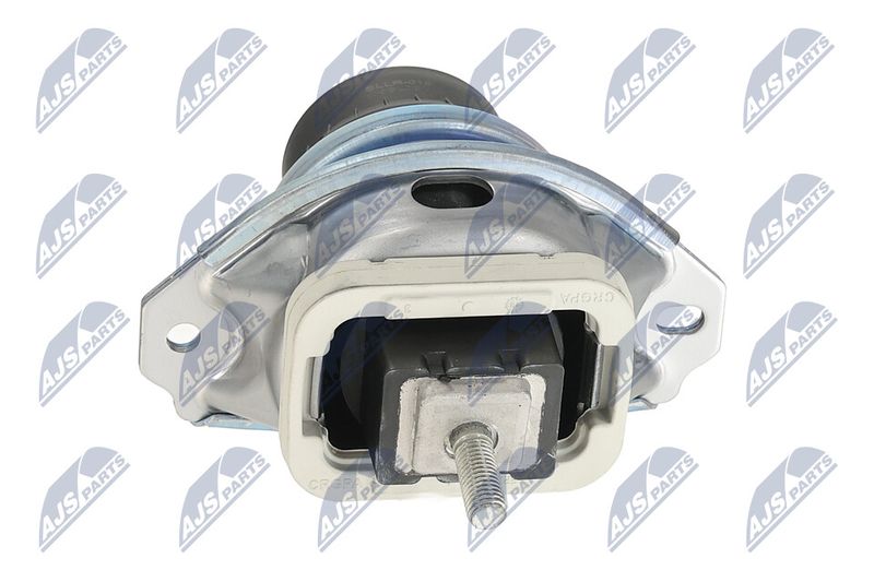 Paigutus, Mootor, NTY ZPS-LR-018