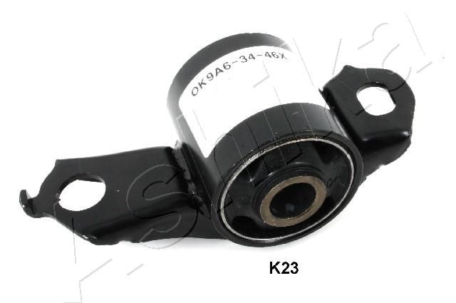 GOM-K23_1.JPG