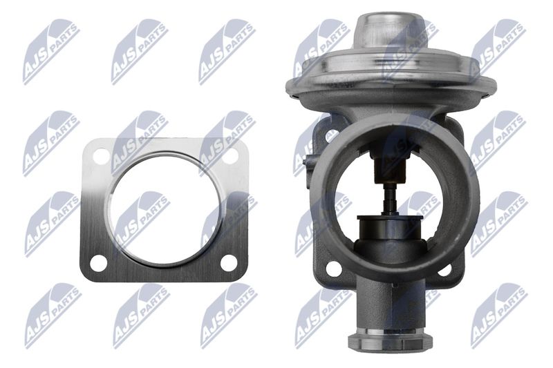 EGR-BM-007_5-WM.JPG
