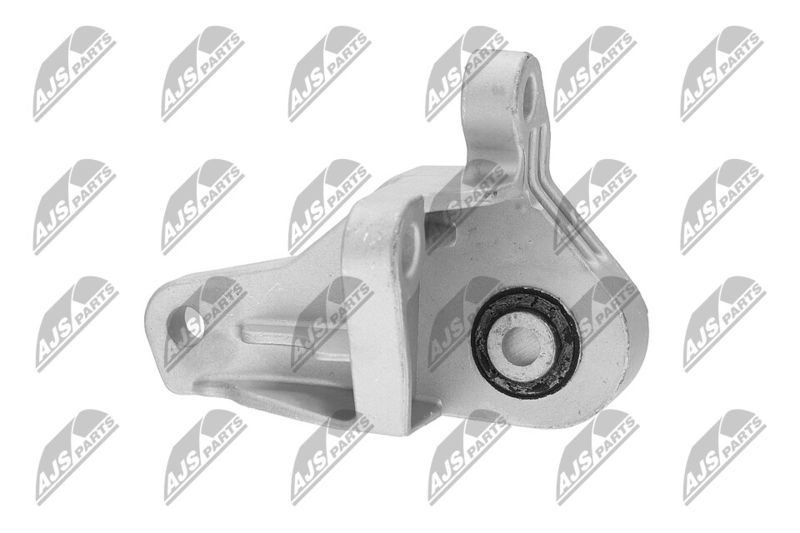 Paigutus, Mootor, NTY ZPS-FR-066