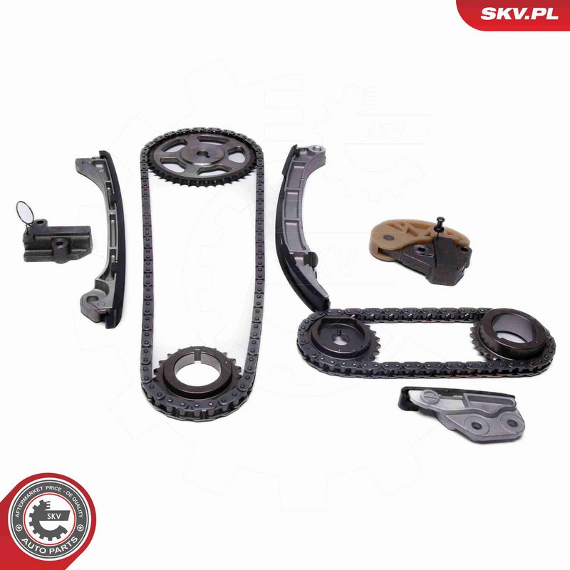 ESEN SKV 21SKV250 Timing Chain Kit