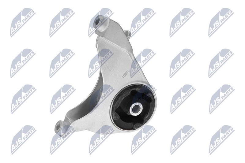 Paigutus, Mootor, NTY ZPS-CH-149