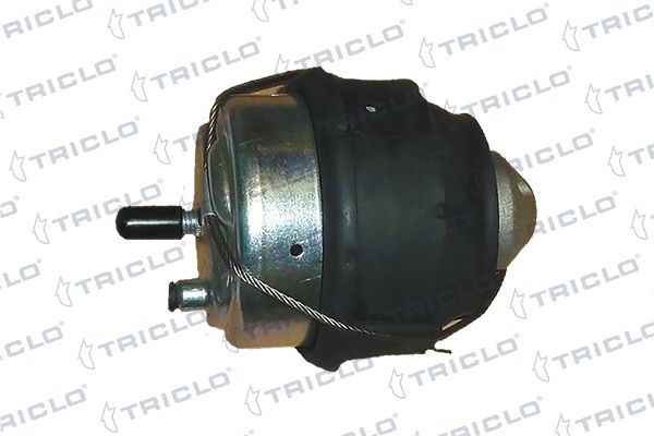 окачване, двигател TRICLO