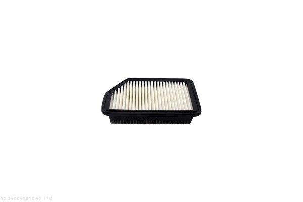 AUTOMEGA 250051910 Air Filter