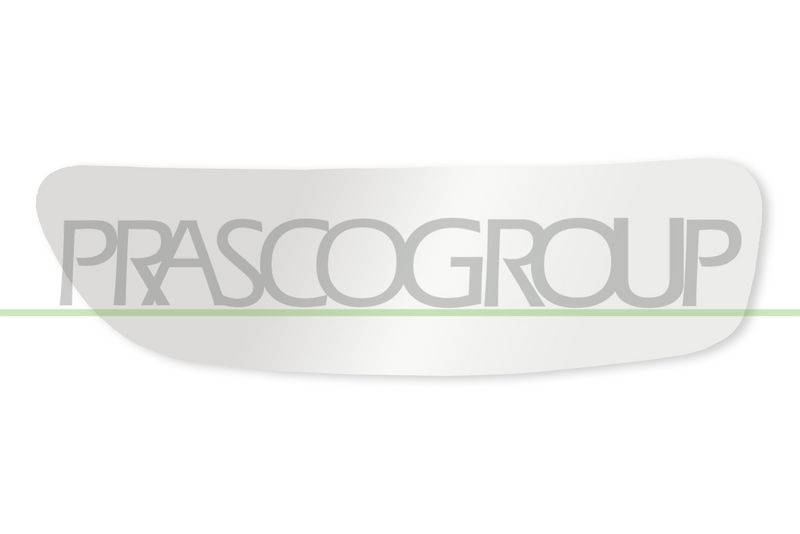 PRASCO Veidrodėlio stiklas, išorinis veidrodėlis