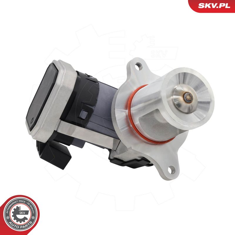 EGR-klapp, ESEN SKV 14SKV306