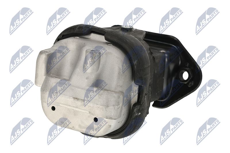 Paigutus, Mootor, NTY ZPS-CH-116