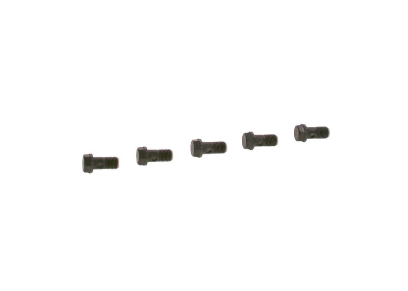 Surub F 019 D01 024 BOSCH