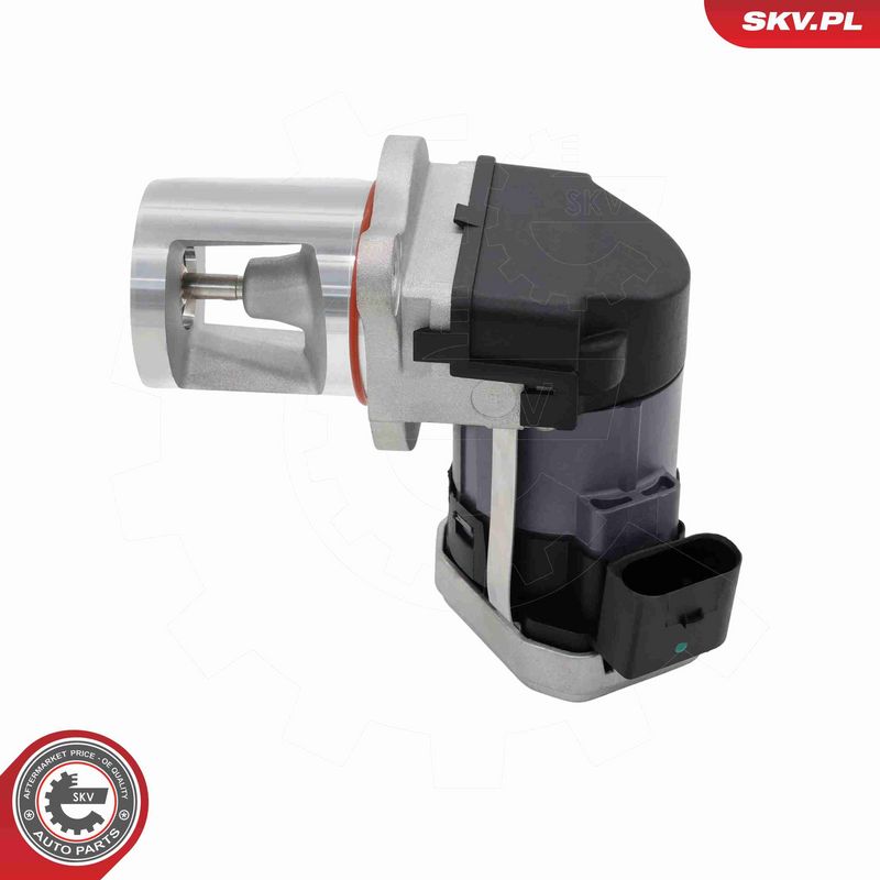 ESEN SKV 14SKV306 EGR Valve