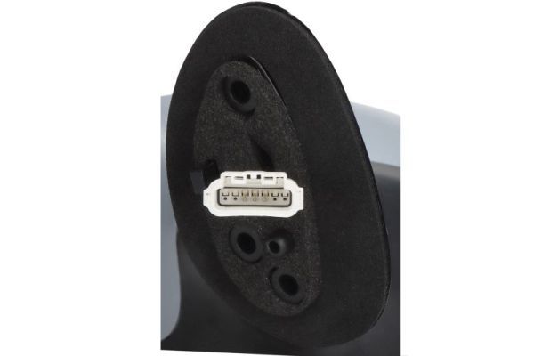 BLIC 5402-04-1111527P Exterior Mirror