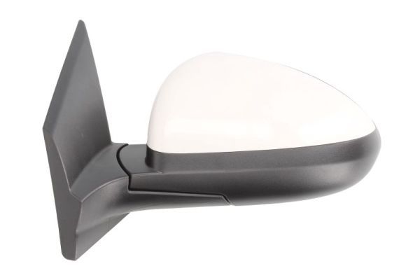 BLIC 5402-56-013361P Exterior Mirror